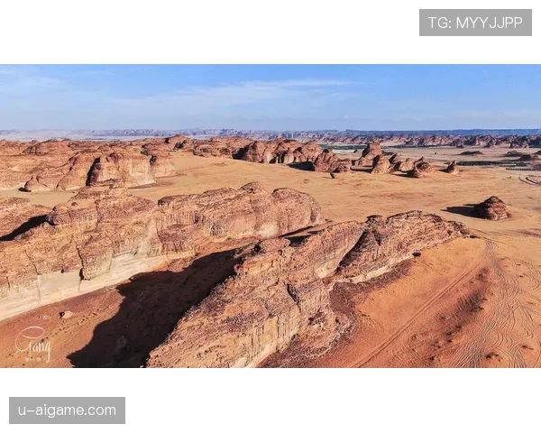 沙特队2026世界杯阵容预测：归化球员能否助沙漠绿鹰突破小组赛